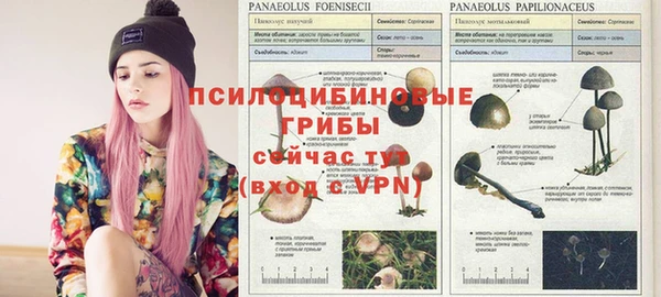 марки nbome Навашино