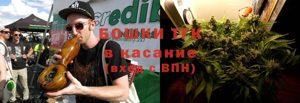 сатива Вяземский