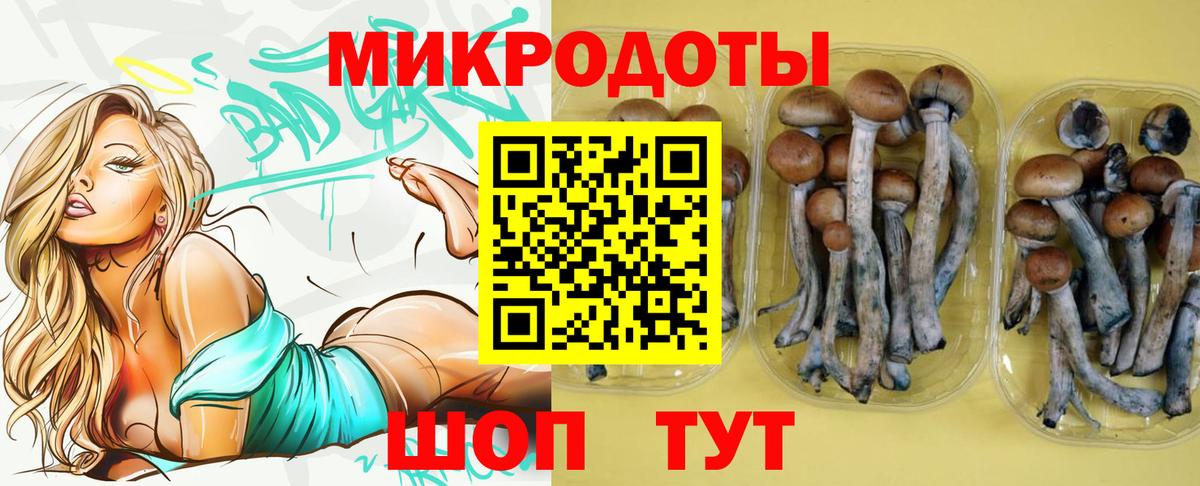 Галлюциногенные грибы GOLDEN TEACHER  Комсомольск-на-Амуре 