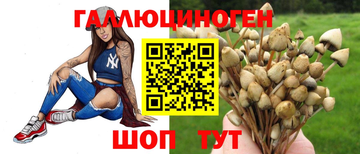 Галлюциногенные грибы GOLDEN TEACHER Комсомольск-на-Амуре
